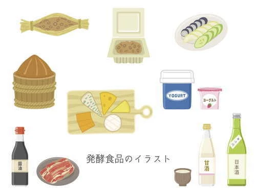 味噌・納豆・ヨーグルトなど発酵食品のイラスト