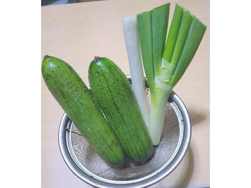 ヘチマと長ネギ画像