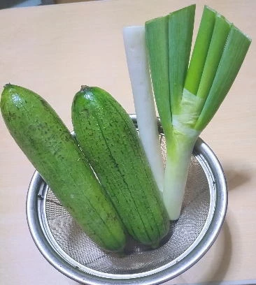 ヘチマと長ネギ画像